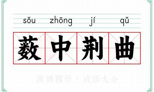 薮中荆曲是什么意思是什么生肖-薮中荆曲是什么意思